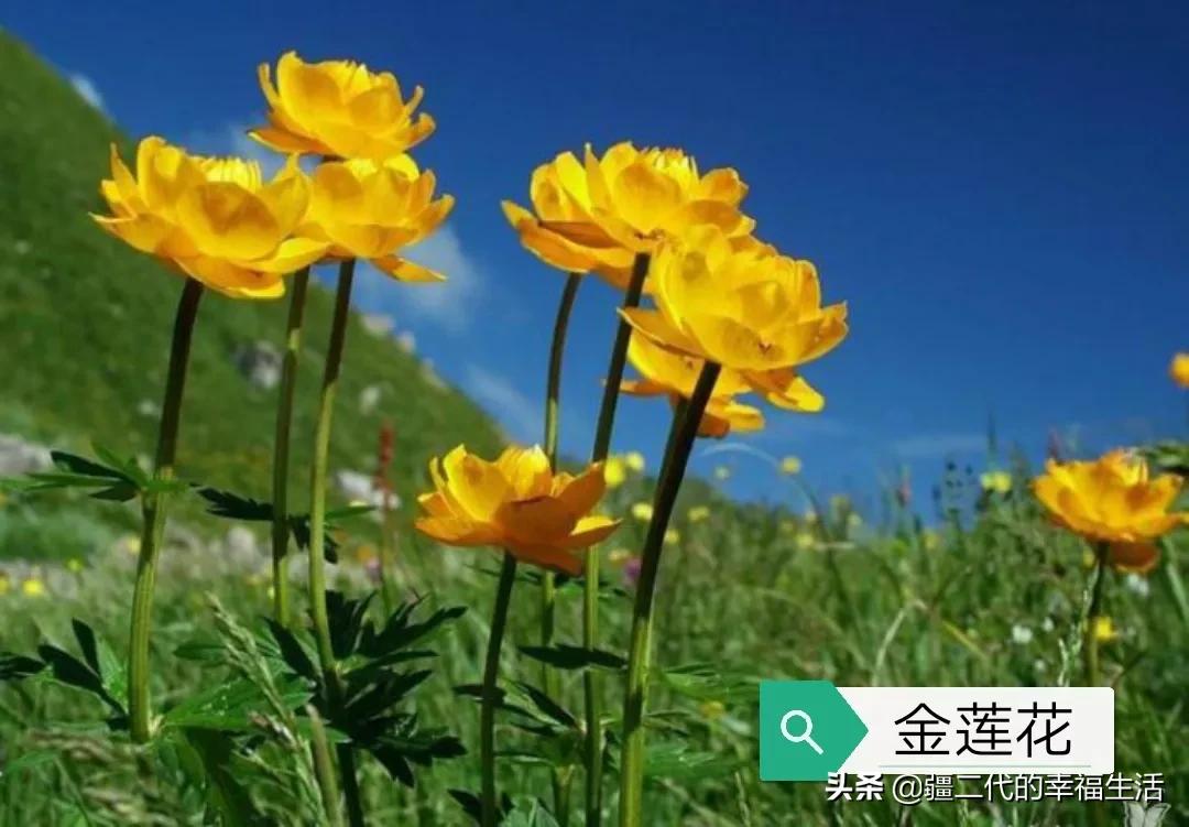ff188bcd677a4da3b7364a208e728eea_noop.jpg