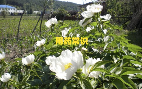 了解干眼用药，让眼睛亮起来
