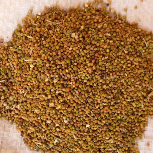 菟丝子还能涨吗？