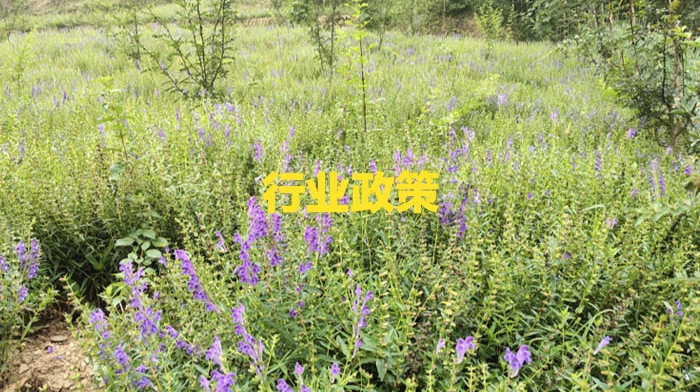 2019年国家中医药行业重点政策汇总