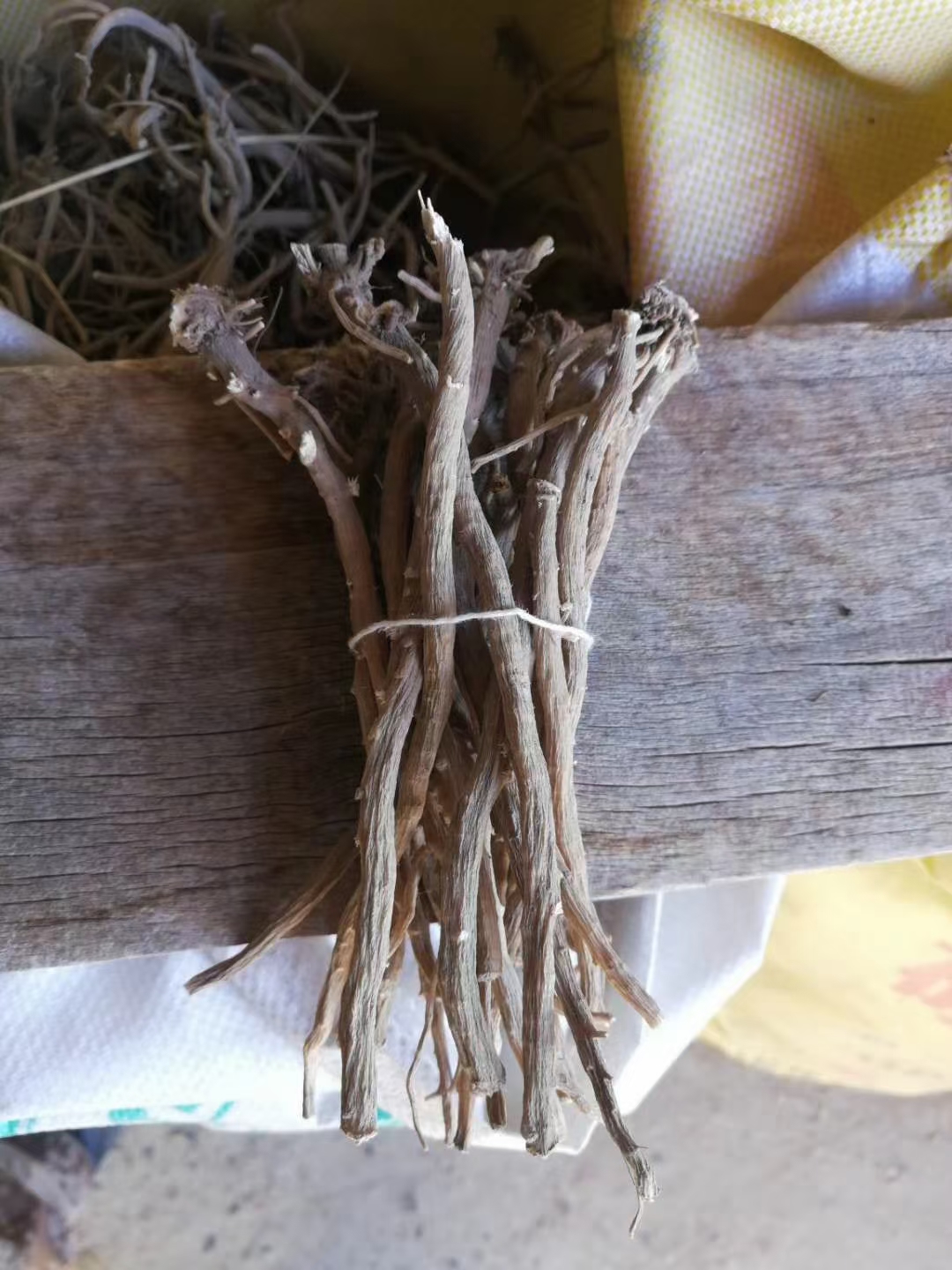 近日有哪些品种可以关注？