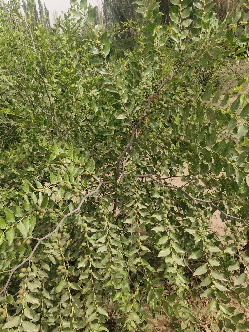 微信图片_20220722134350.jpg