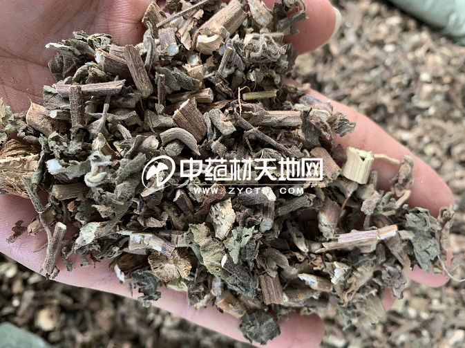 微信图片_20221129114518.png