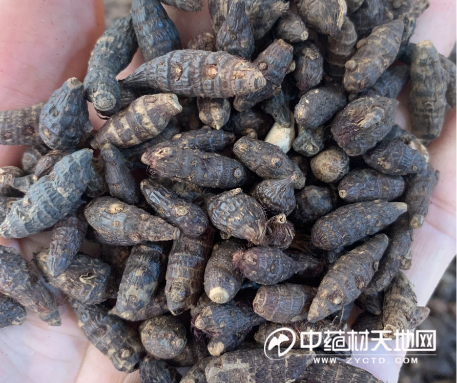 微信图片_20221129114527.png