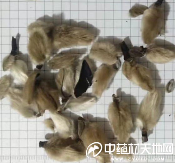 微信图片_20221129115332.png