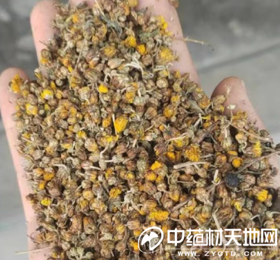 微信图片_20221129115338.png
