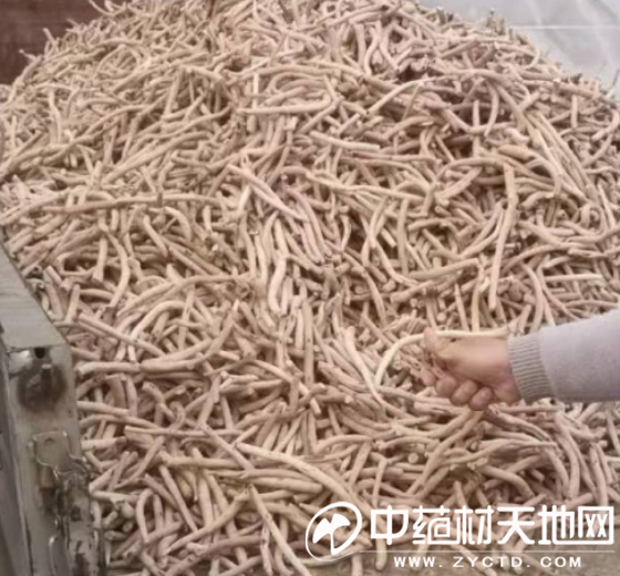 微信图片_20221129115343.png