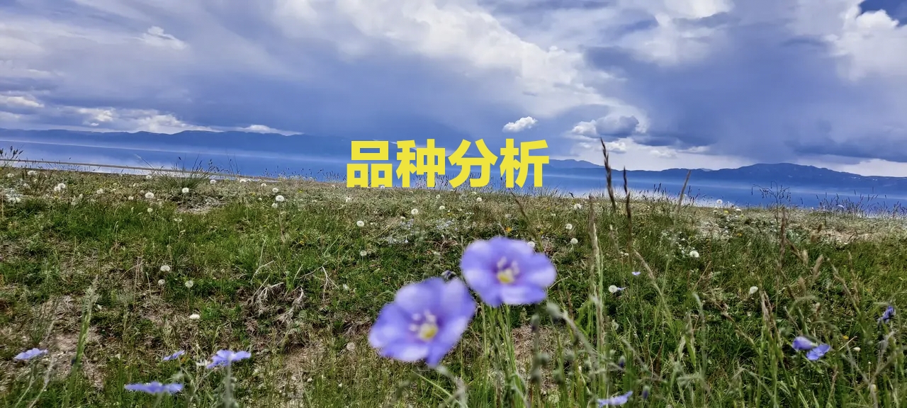 淫羊藿、枸杞、黄芪、板蓝根、款冬花等近期行情简析