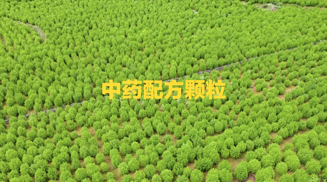 中药配方颗粒国家标准申报要求浅析