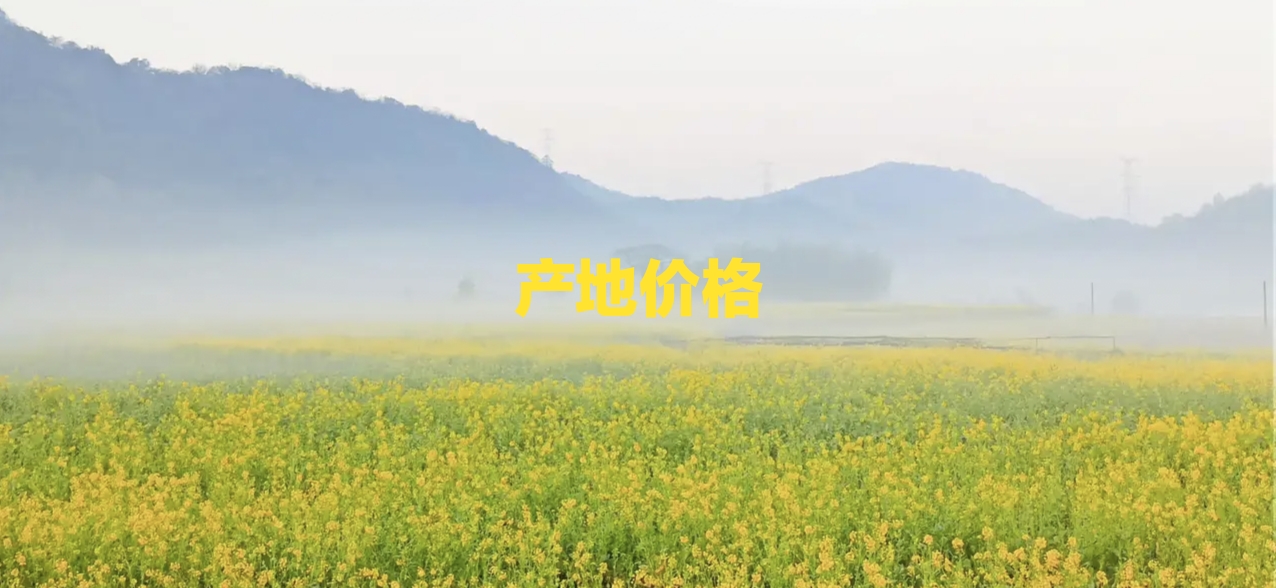 2022年12月6日云南首乌藤，桑枝，心不甘，鸡血藤等地产药