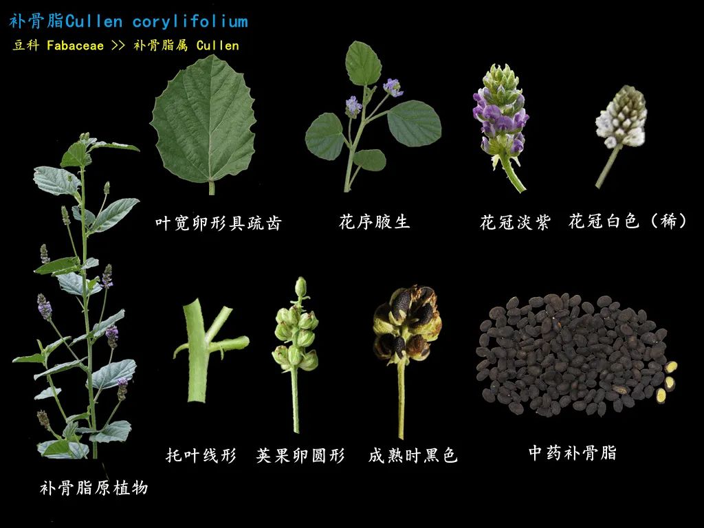 微信图片_20221209000906.jpg
