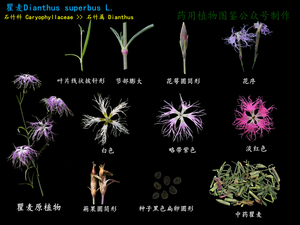 微信图片_20221209001453.png