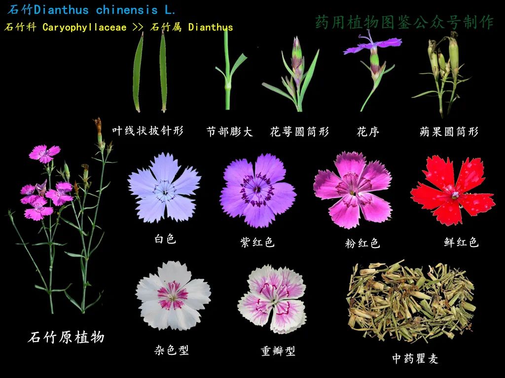 微信图片_20221209001517.jpg