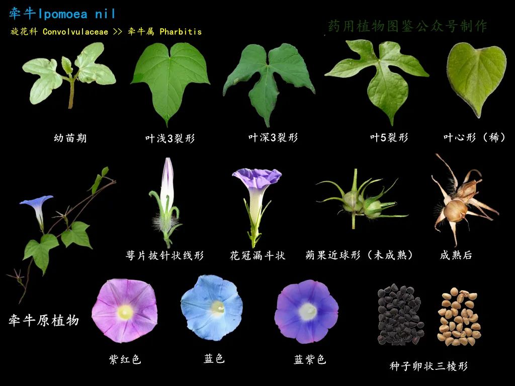 微信图片_20221209001911.jpg