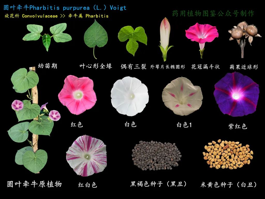 微信图片_20221209001921.jpg