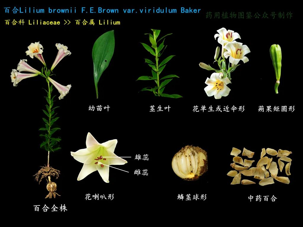 微信图片_20221209002250.jpg