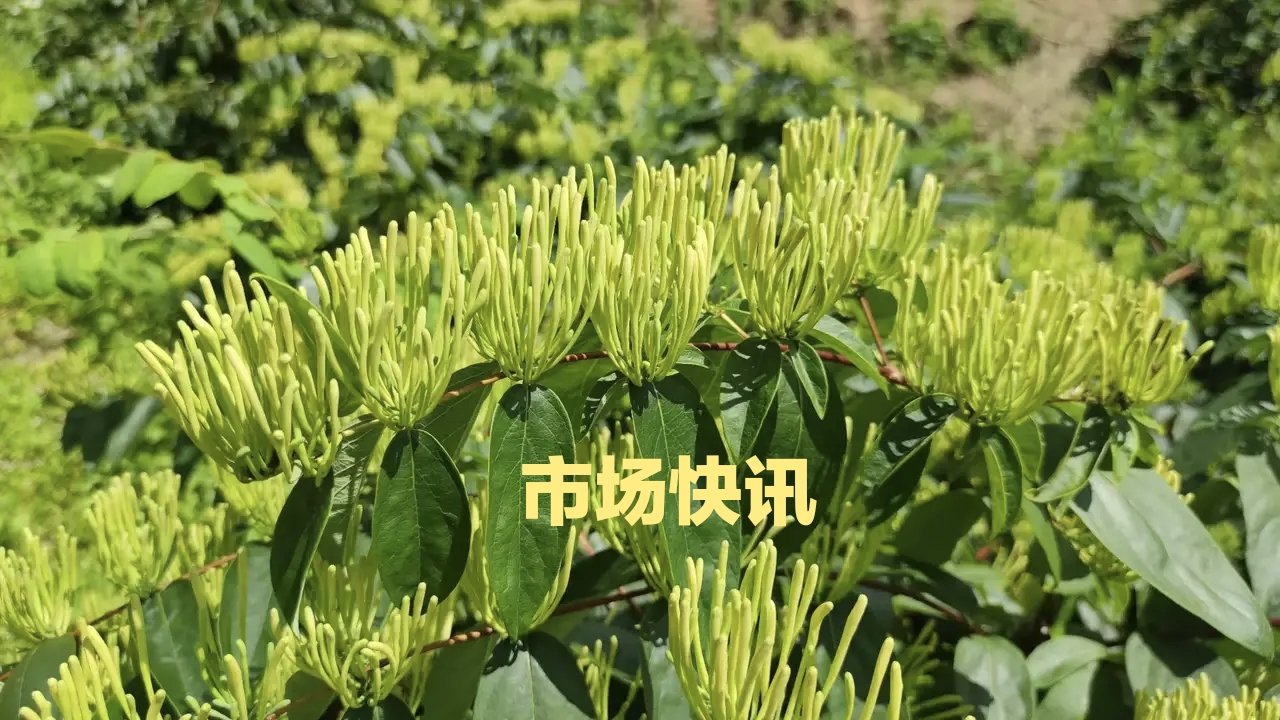 2022年12月29日荷花池药市热点药材价格行情