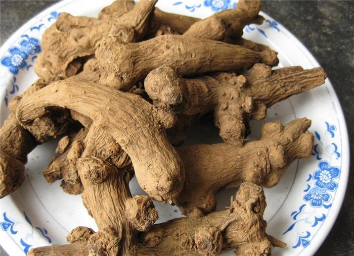 高鹏说药材：抗疫品种防风、干姜、广藿香、鱼腥草等后市行情简析