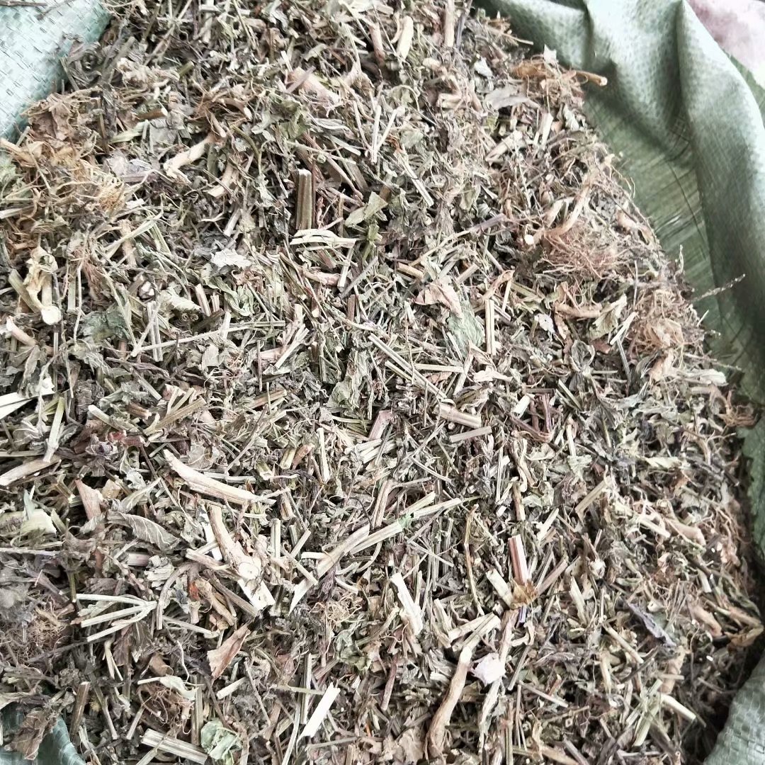 高鹏说药材：暴涨6倍的马鞭草库存见底，后市走向如何？