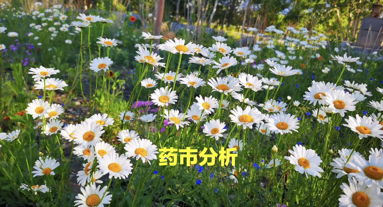 高鹏说药材：药市分析：外部资金热度下降，药市行情持续小幅回调