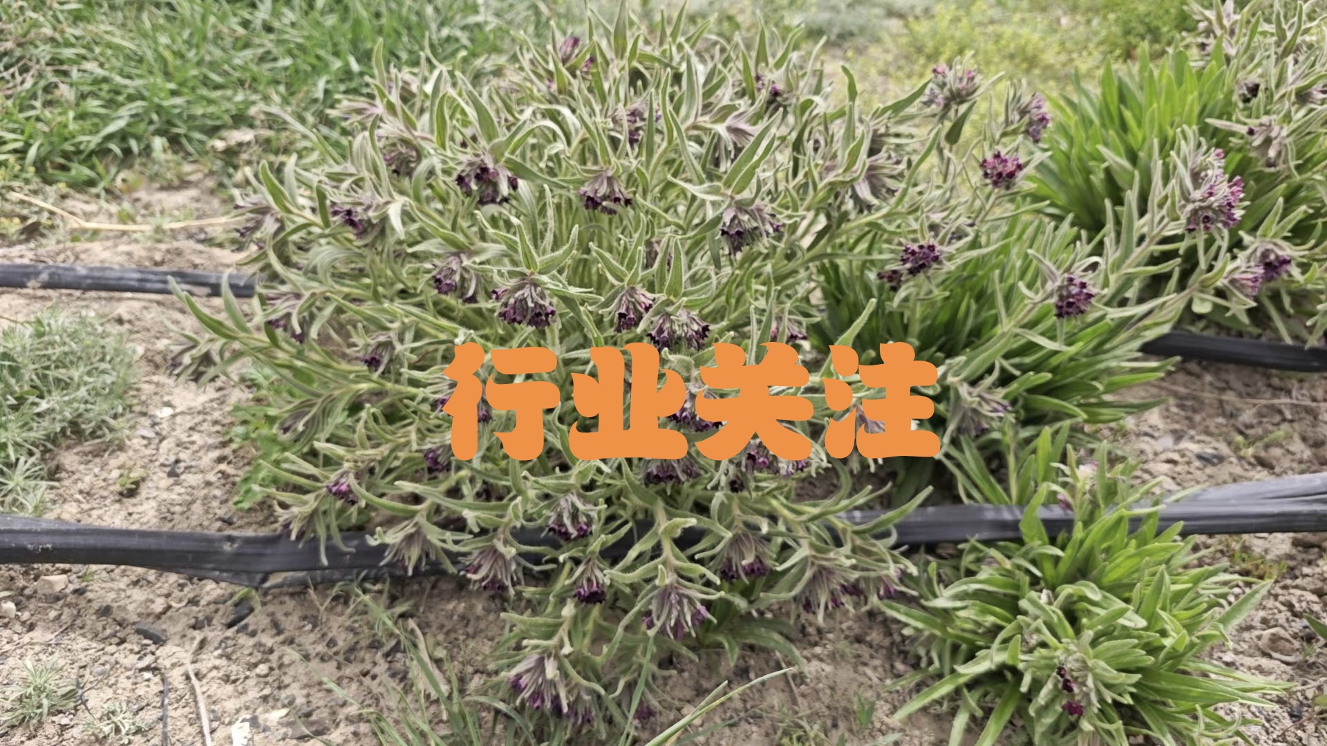 微信图片_20240530151803.jpg