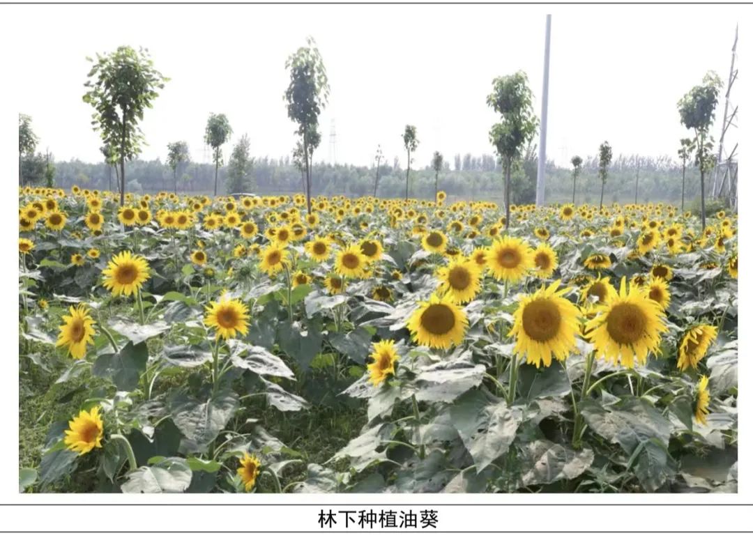 微信图片_20221209000026.jpg