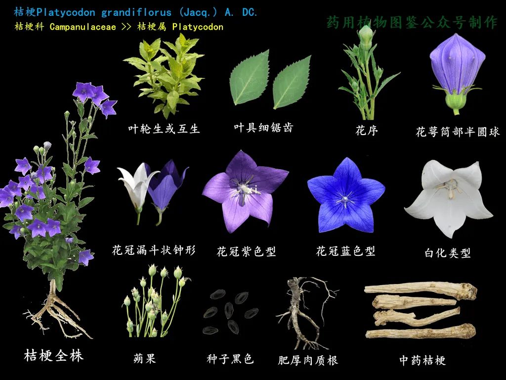 微信图片_20221209000431.jpg