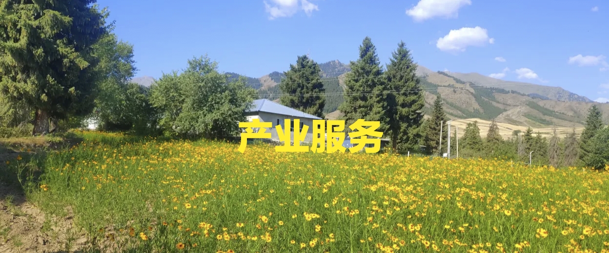 微信图片_20221030172254.jpg