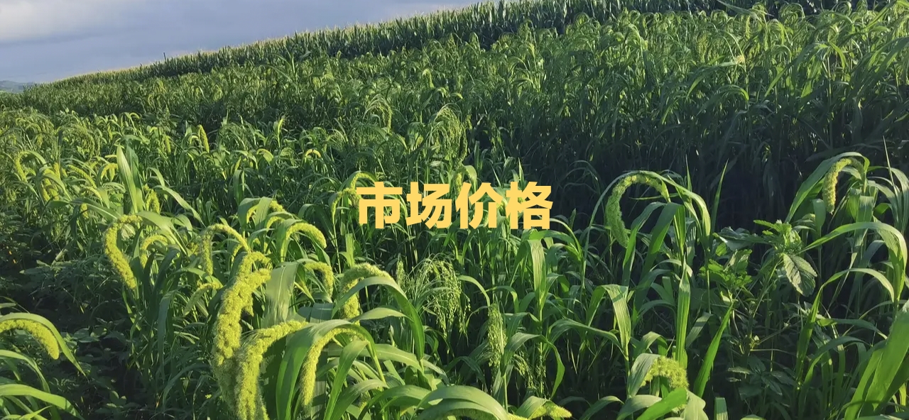 微信图片_20221030172319.jpg